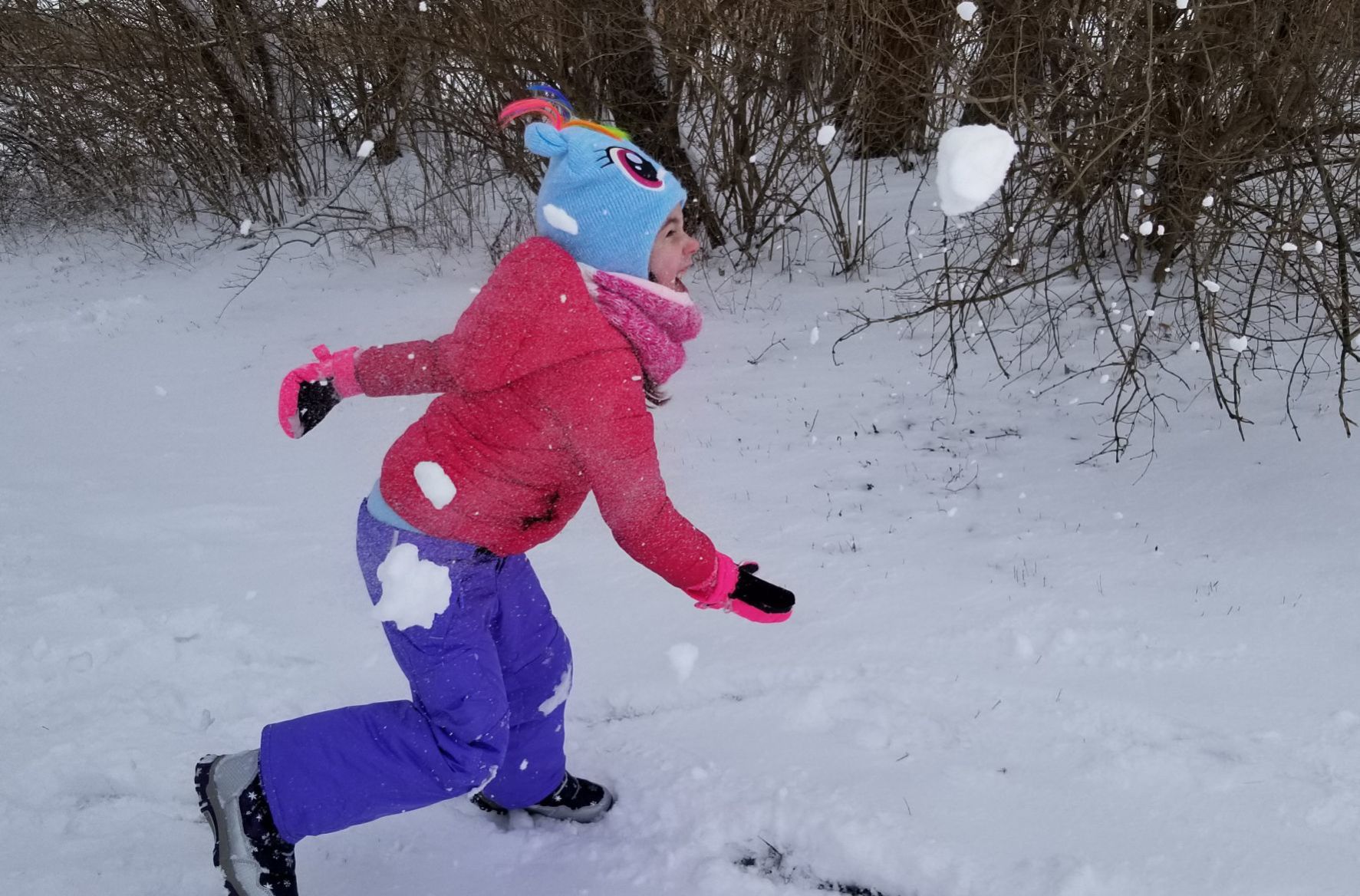 Snow day!
